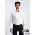 CAMISA CRO 705 T/ ESPECIAL BASSETTE